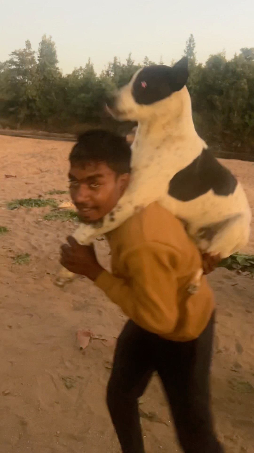 Mayang mayang Ho Nagpuri song